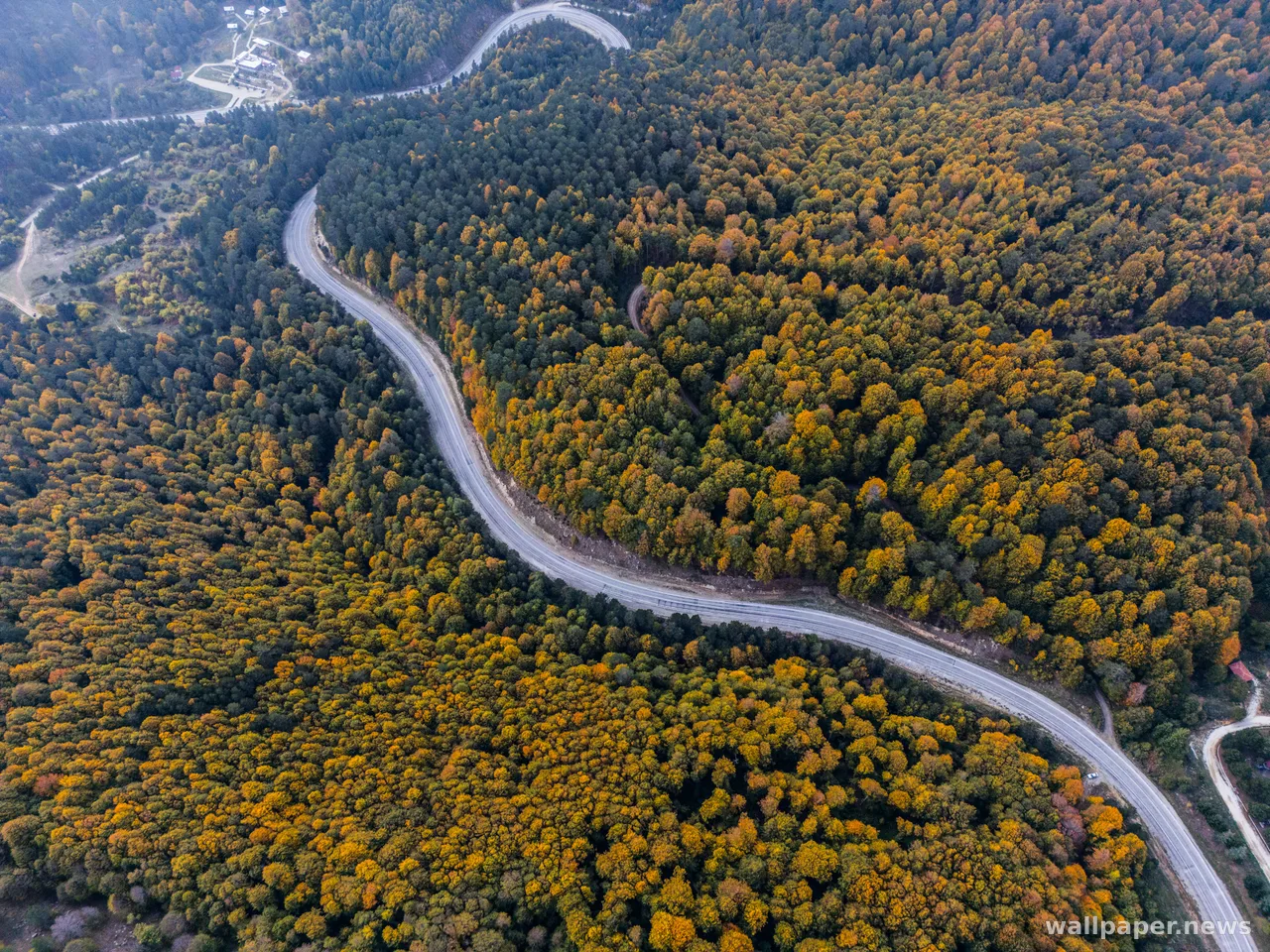 Autumn Forest 4K Wallpaper · nature · 3840×2880