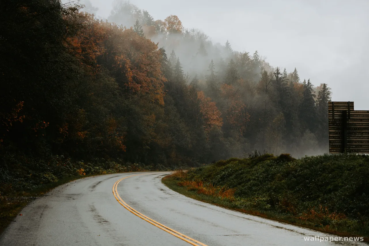 Autumn Forest 4K Wallpaper · nature · 3840×2560