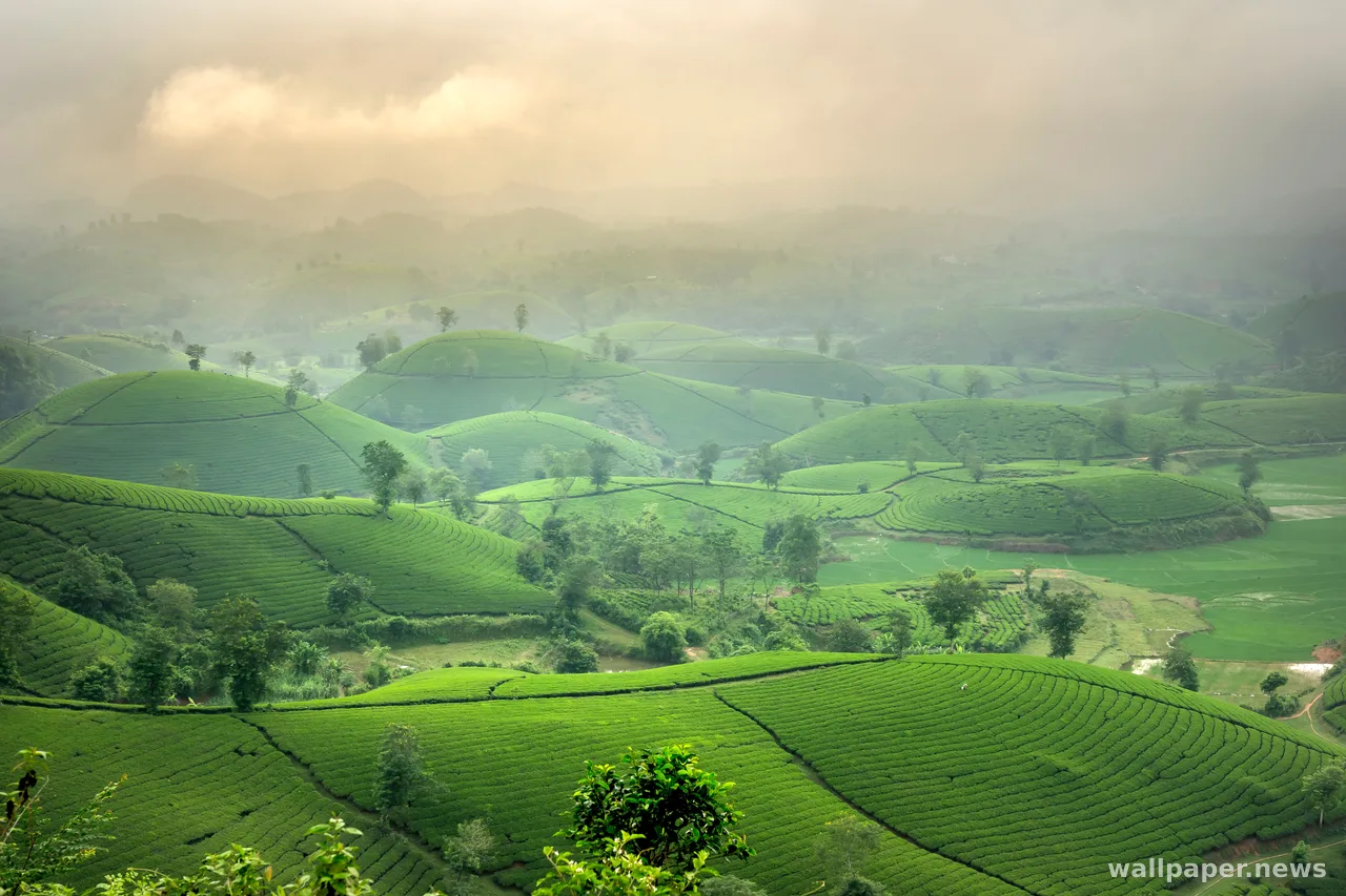 Green Hills 4K Wallpaper · nature · 3840×2560