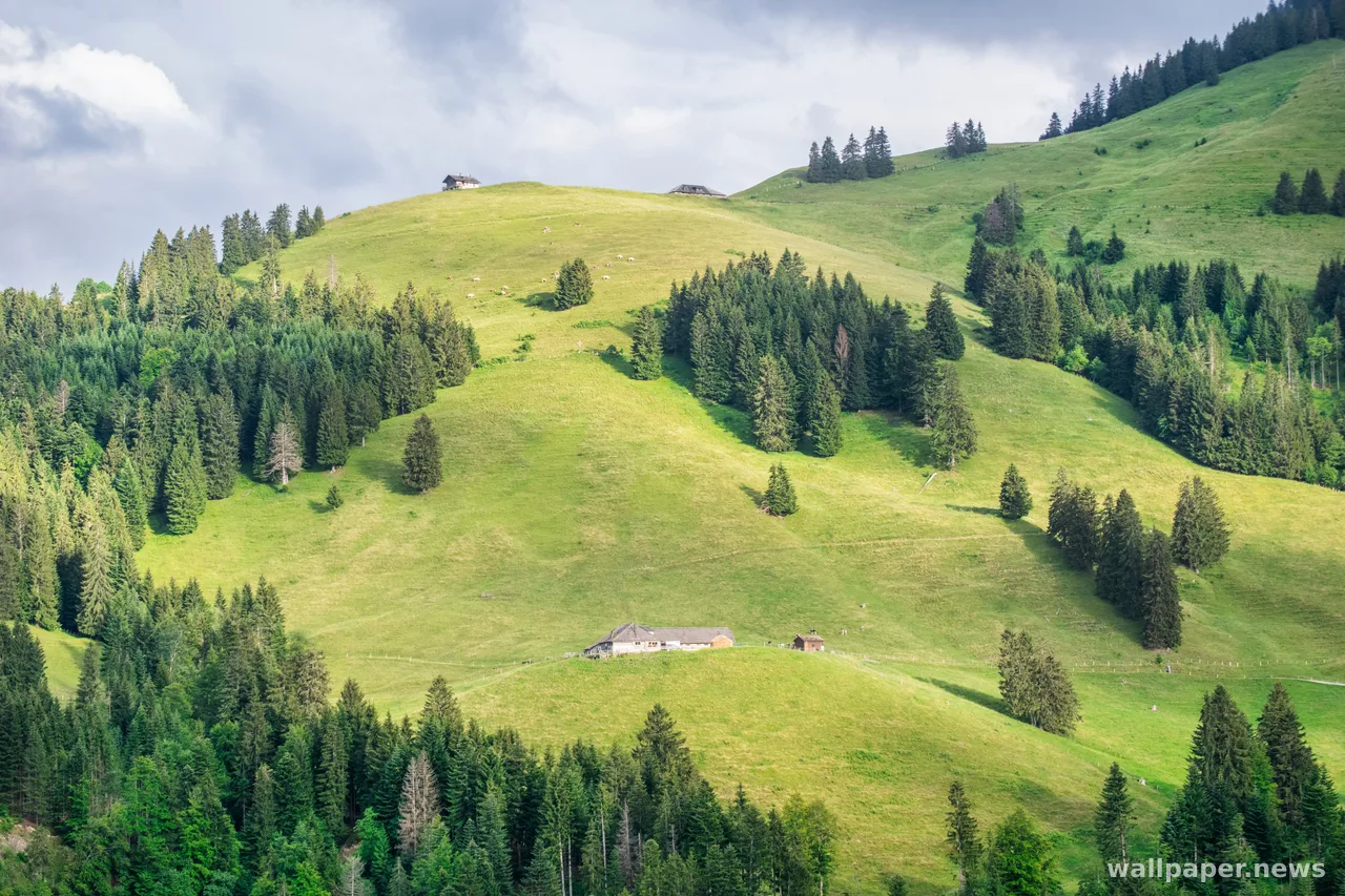 Green Hills 4K Wallpaper · nature · 3840×2560
