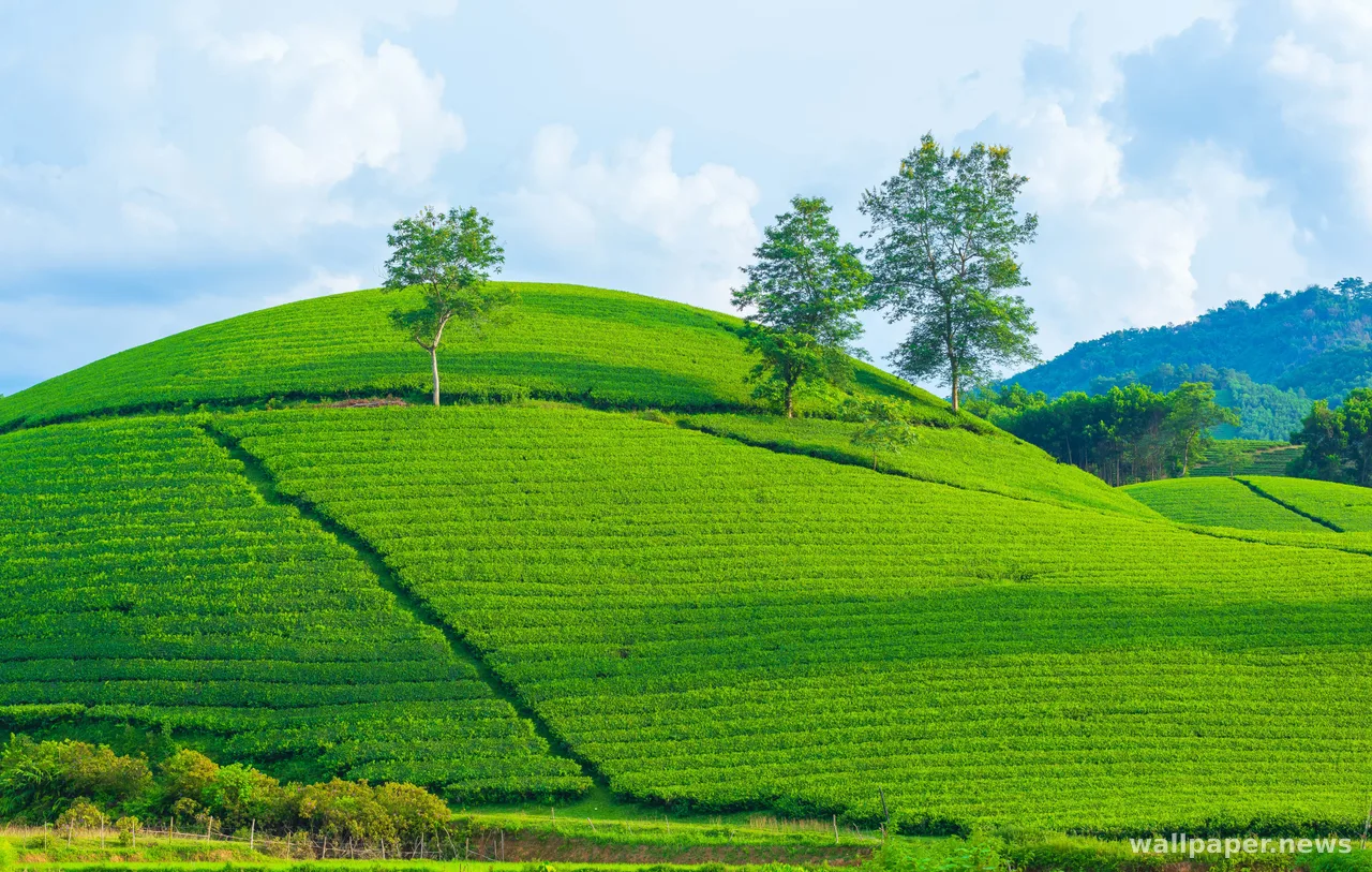 Green Hills 4K Wallpaper · nature · 3840×2438