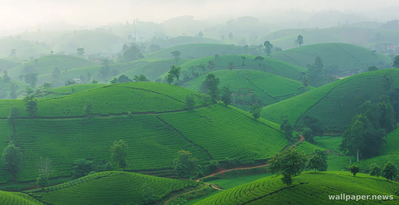 Green Hills 4K Wallpaper · nature · 3840×1978