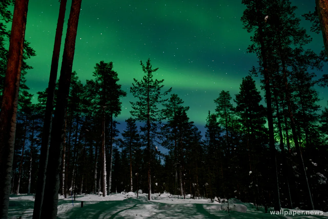 Aurora Borealis 4K Wallpaper · nature · 3840×2560
