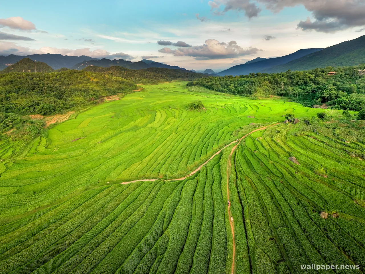 Rice Terraces 4K Wallpaper · nature · 3840×2880