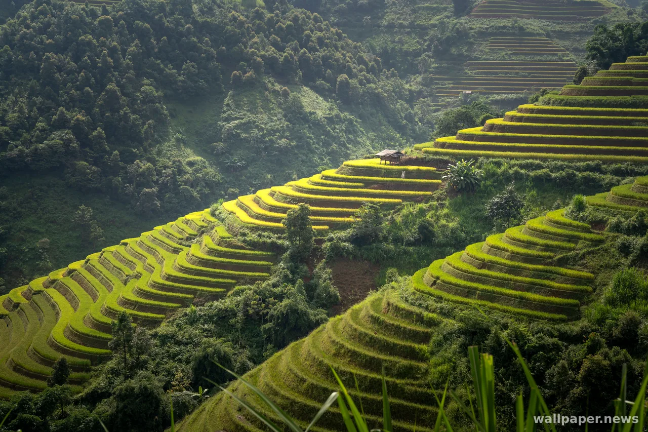 Rice Terraces 4K Wallpaper · nature · 3840×2560