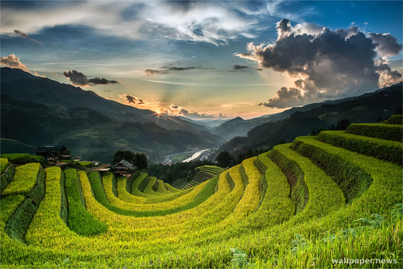 Rice Terraces 4K Wallpaper · nature · 3840×2561