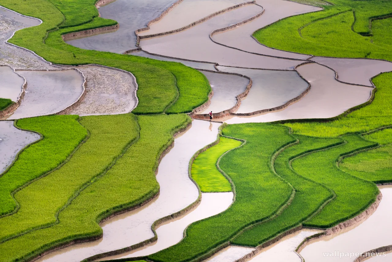 Rice Terraces 4K Wallpaper · nature · 3840×2561