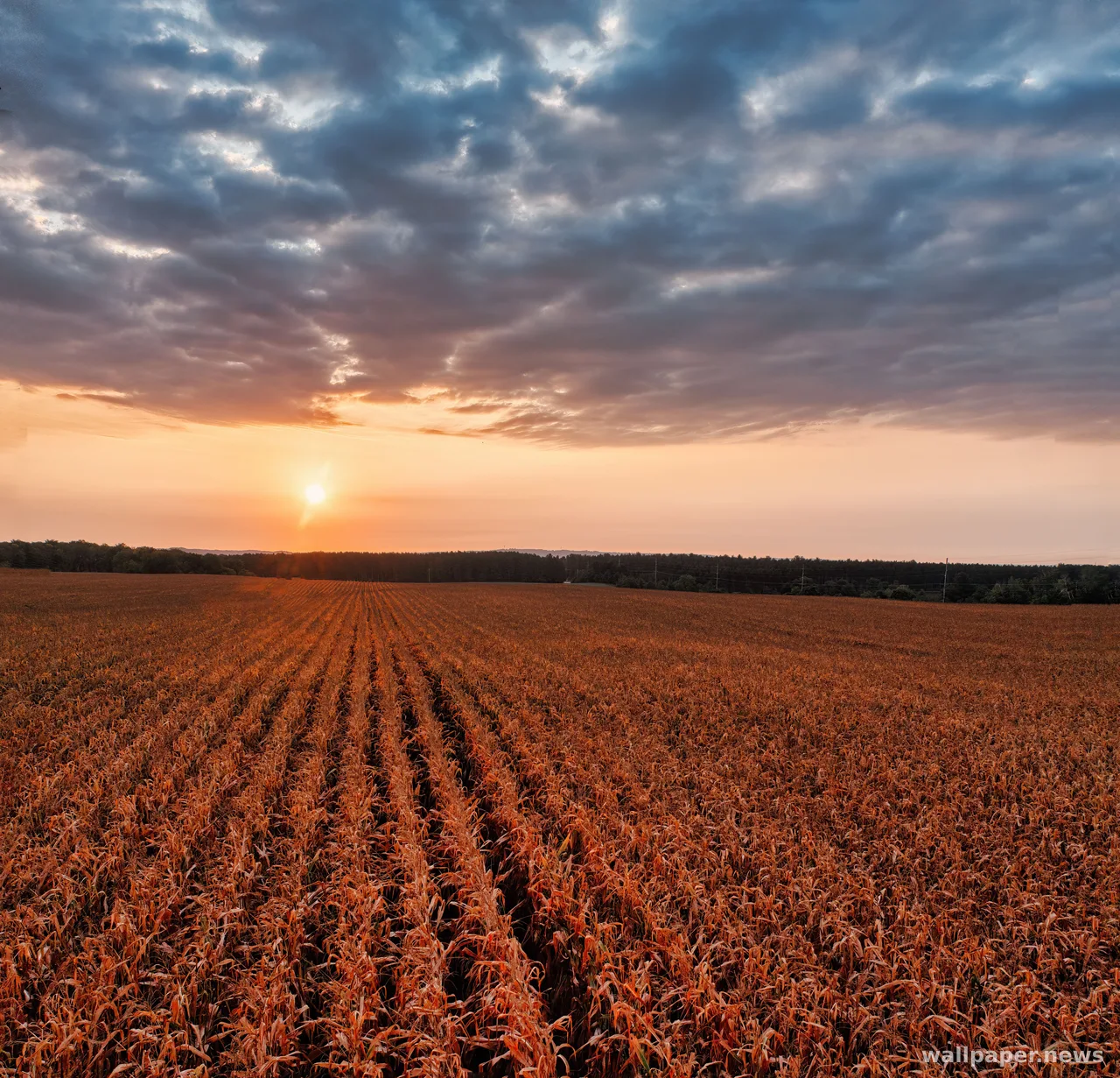 Countryside Field 4K Wallpaper · nature · 3840×3694