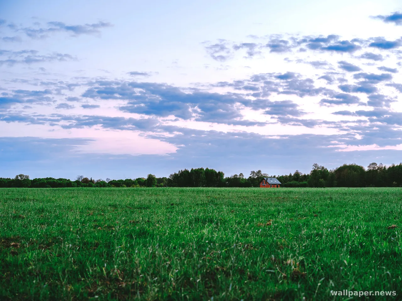 Countryside Field 4K Wallpaper · nature · 3840×2878