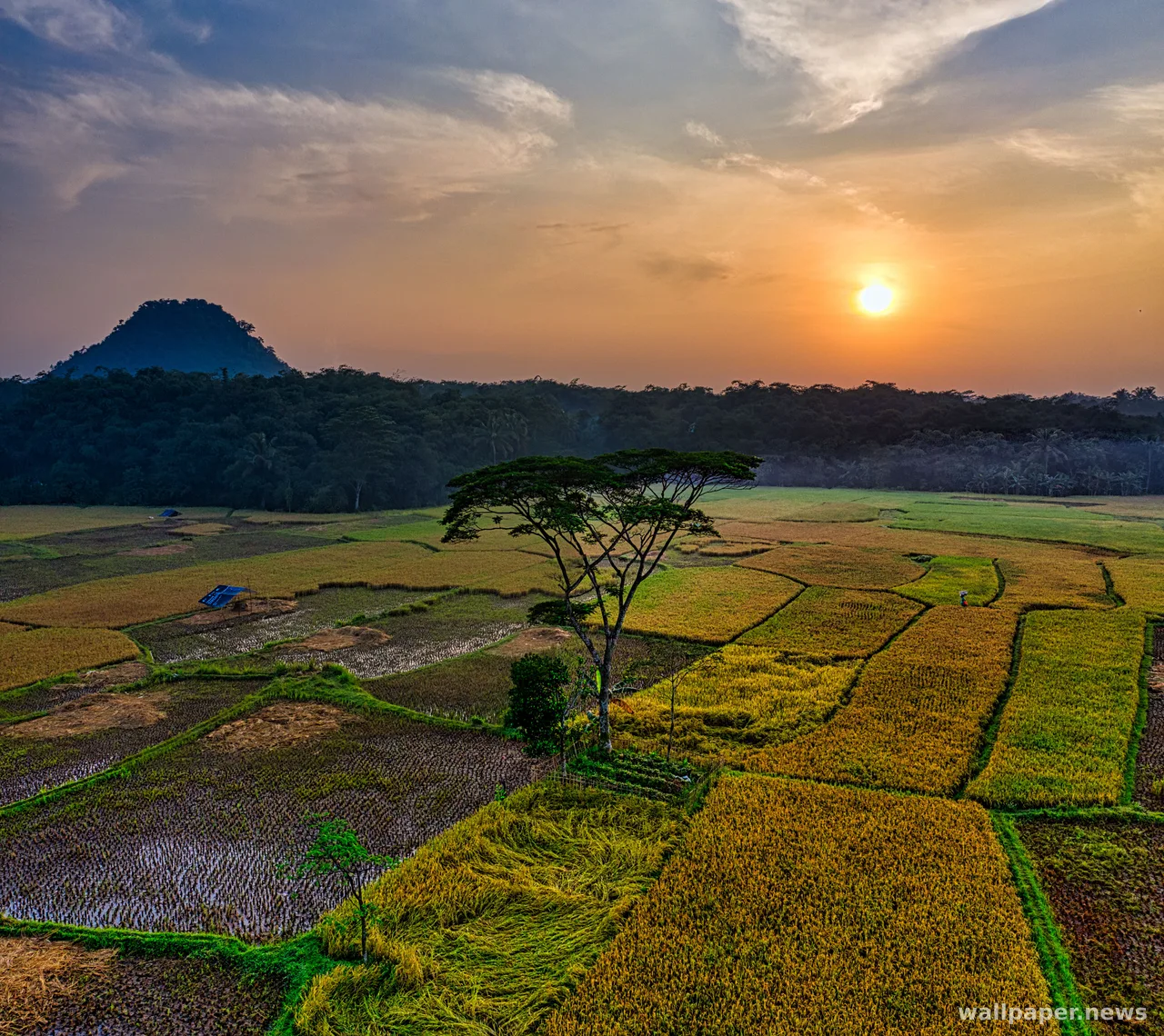 Countryside Field 4K Wallpaper · nature · 3840×3421