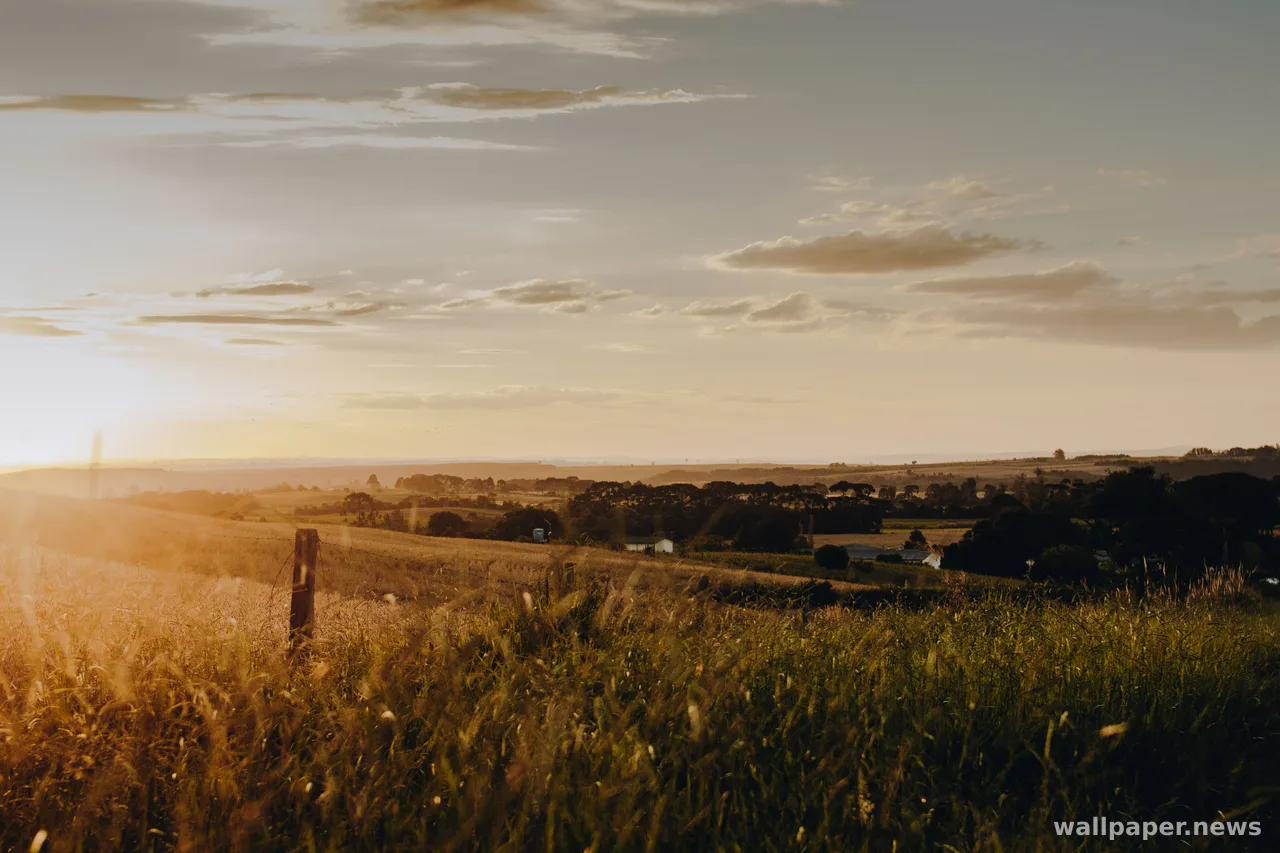 Countryside Field 4K Wallpaper · nature · 3840×2560