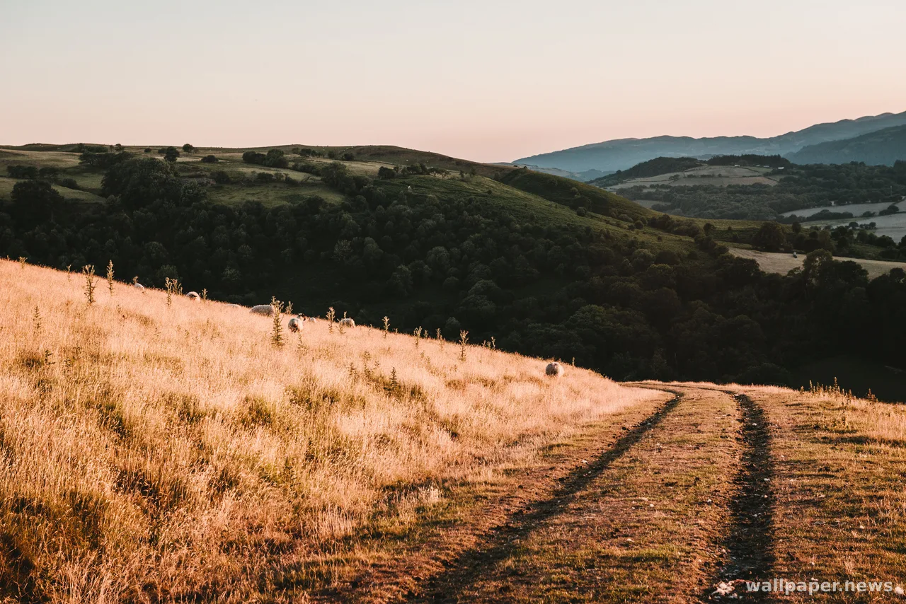 Countryside Field 4K Wallpaper · nature · 3840×2563
