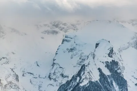 Fond d'écran Léopard des neiges 4K · animals · 3840×2563