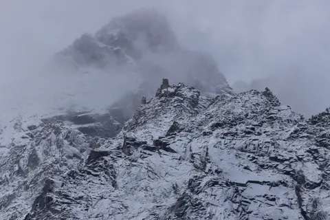 Fond d'écran Léopard des neiges 4K · animals · 3840×2560