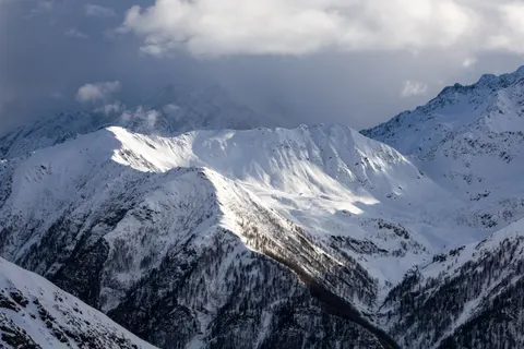 Fondo de pantalla Leopardo de las Nieves 4K · animals · 3840×2560