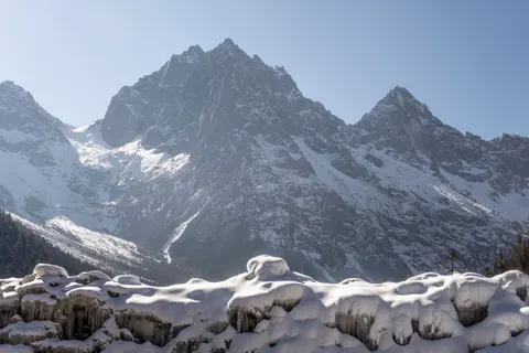 Snow Leopard 4K Wallpaper · animals · 3840×2560