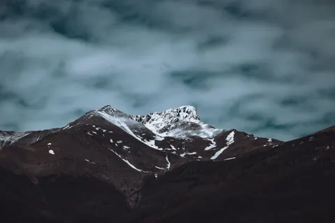 Tapeta Irbis 4K · animals · 3840×2560