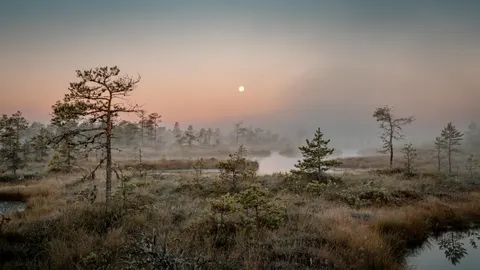 Fond d'écran Lac de montagne brumeux 4K · nature · 3840×2160