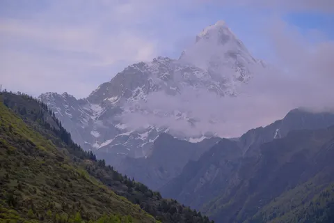 Fond d'écran Léopard des neiges 4K · animals · 3840×2560