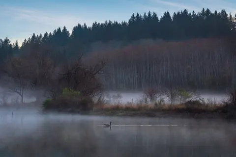 خلفية بحيرة جبلية ضبابية بدقة 4K · nature · 3840×2560