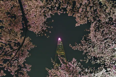 Seoul Night 4K Wallpaper · city · 3840×2560