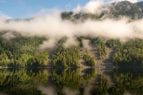 안개 낀 산호수 4K 배경화면 · nature · 3840×2560