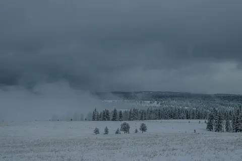 Fondo de pantalla Bosque con niebla 4K · nature · 3840×2560