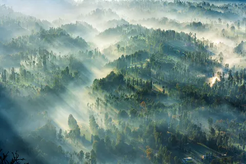 雾中森林 4K壁纸 · nature · 3840×2561