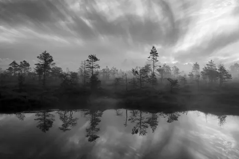 Fondo de pantalla Bosque con niebla 4K · nature · 3840×2560
