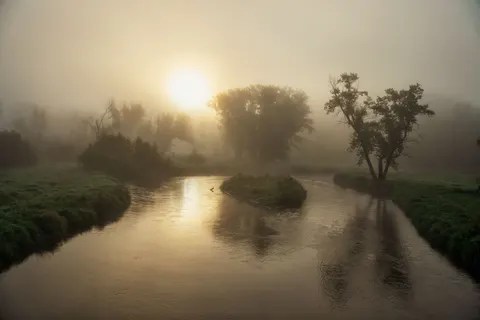 Foggy Forest 4K Wallpaper · nature · 3840×2560