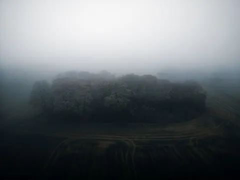 Foggy Forest 4K Wallpaper · nature · 3840×2880