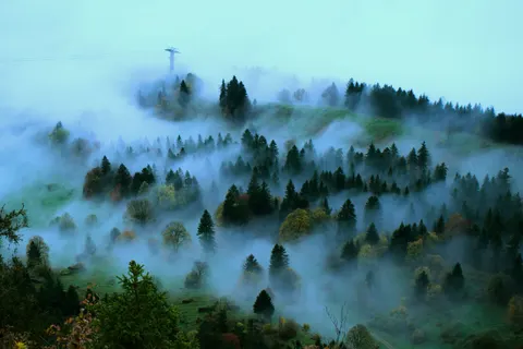 Foggy Forest 4K Wallpaper · nature · 3840×2560
