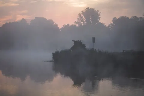 Fondo de pantalla Bosque con niebla 4K · nature · 3840×2560
