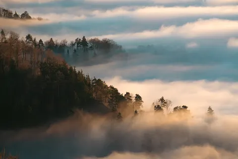 Foggy Forest 4K Wallpaper · nature · 3840×2561