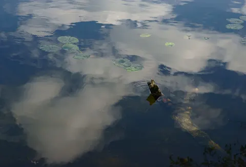 自然 4K壁纸 · nature · 3840×2609