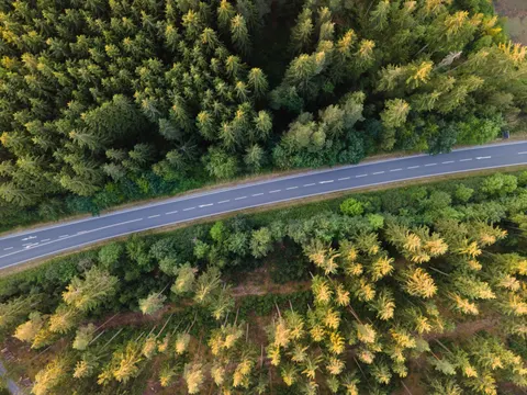 Autumn Forest 4K Wallpaper · nature · 3840×2880