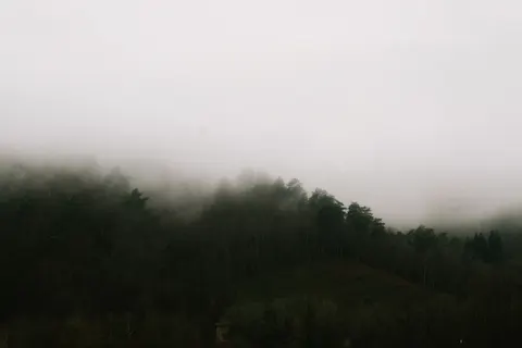 Foggy Forest 4K Wallpaper · nature · 3840×2560