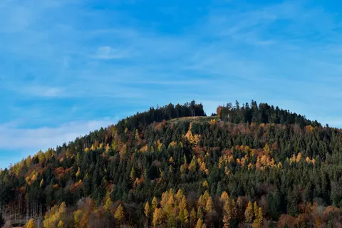 Fondo de pantalla Bosque de otoño 4K · nature · 3840×2560