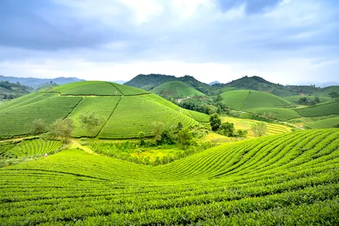 Green Hills 4K Wallpaper · nature · 3840×2560