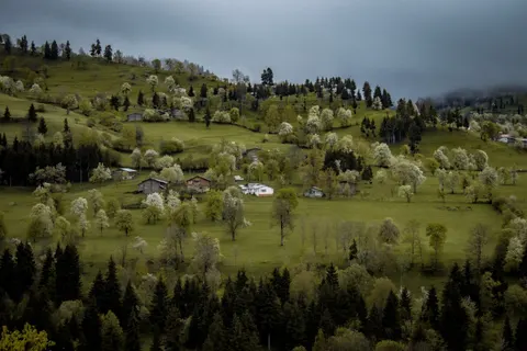 Green Hills 4K Wallpaper · nature · 3840×2560