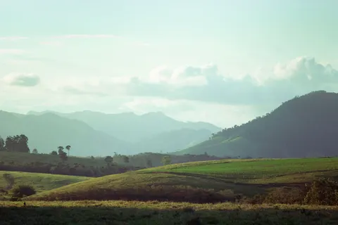 초록 언덕 4K 배경화면 · nature · 3840×2560