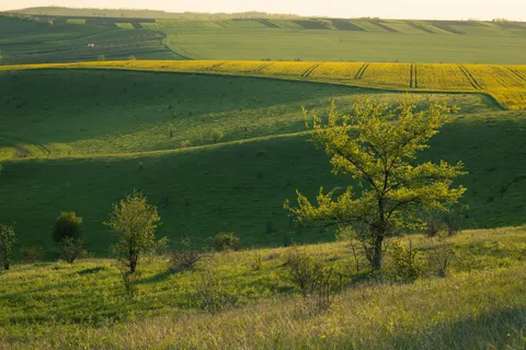 Fond d'écran Collines vertes 4K · nature · 3840×2560