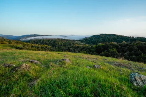 Fond d'écran Collines vertes 4K · nature · 3840×2560