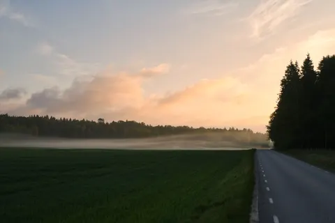 Foggy Forest 4K Wallpaper · nature · 3840×2560