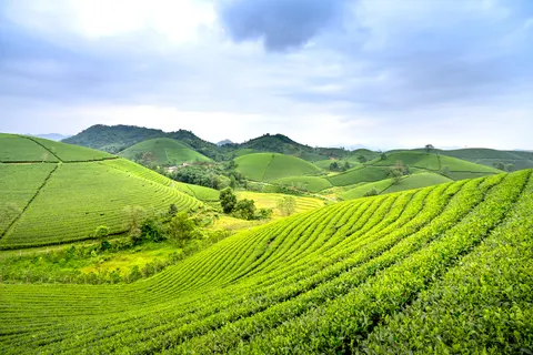 Fondo de pantalla Colinas verdes 4K · nature · 3840×2560