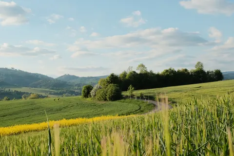 Fond d'écran Collines vertes 4K · nature · 3840×2560
