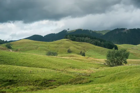 초록 언덕 4K 배경화면 · nature · 3840×2560
