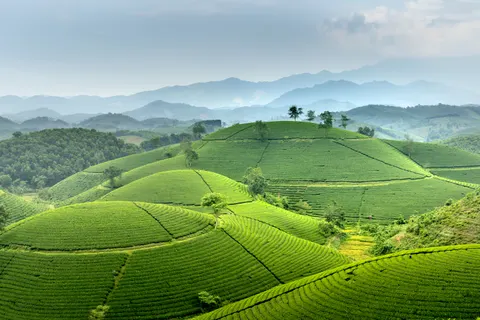 Fond d'écran Collines vertes 4K · nature · 3840×2560