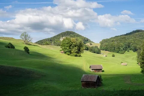 绿色丘陵 4K壁纸 · nature · 3840×2560