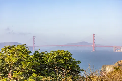 والپیپر گلدن گیت با کیفیت 4K · city · 3840×2560